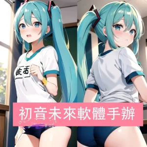 二次元性愛娃娃，二次元娃娃，動漫娃娃，初音未來軟體手辦