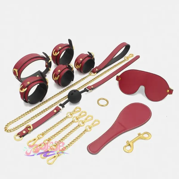 BDSM，BDSM用品，SM玩具，SM套裝， sm情趣用品男女狗奴K9調教sp工具 (10)