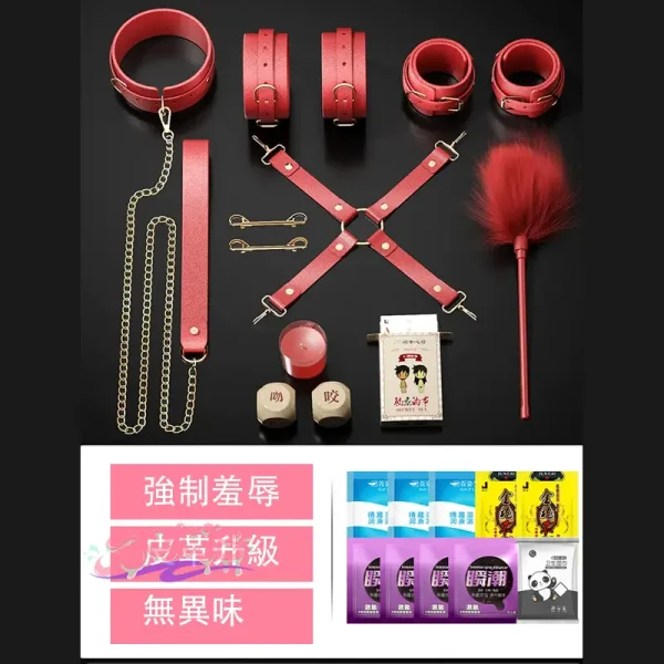 BDSM，BDSM用品，SM玩具，SM套裝，情趣用品工具道具合歡sm捆綁房趣調教套裝 (5)